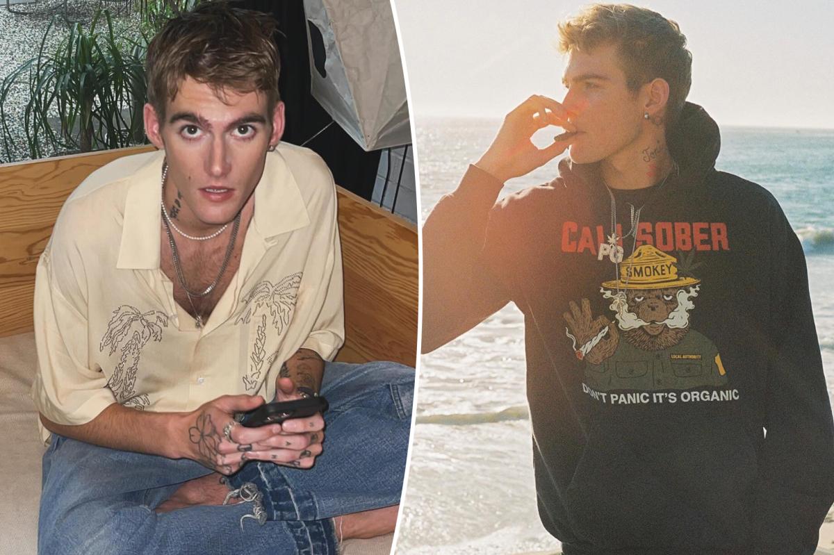 Presley Gerber's Tragic Struggle: The Untold Story Behind His Final Days